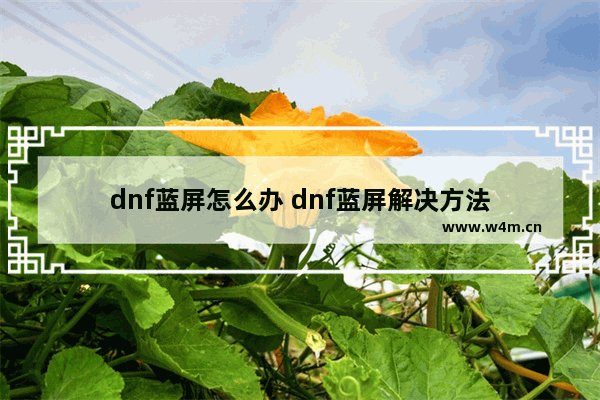 dnf蓝屏怎么办 dnf蓝屏解决方法