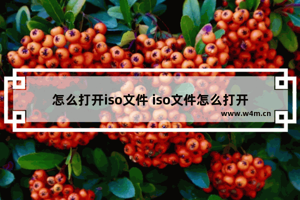 怎么打开iso文件 iso文件怎么打开