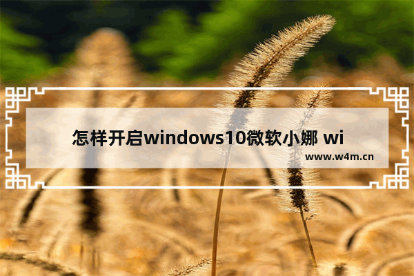 怎样开启windows10微软小娜 windows10小娜怎么开启