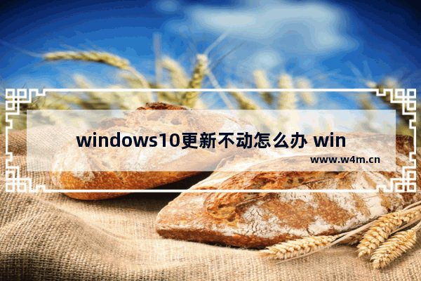 windows10更新不动怎么办 windows10更新不动了怎么解决