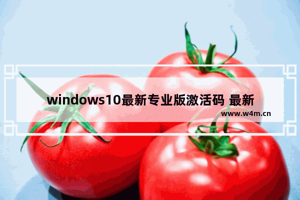 windows10最新专业版激活码 最新windows10专业版激活码