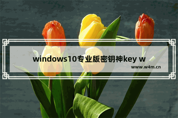 windows10专业版密钥神key windows10专业版激活密钥