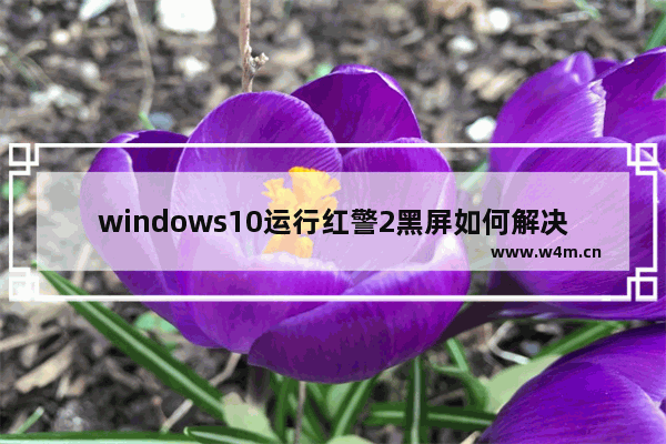 windows10运行红警2黑屏如何解决 windows10运行红警2黑屏怎么办