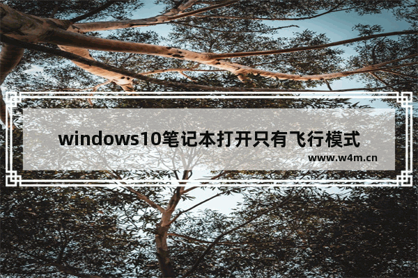 windows10笔记本打开只有飞行模式的解决方法 windows10只有一个飞行模式