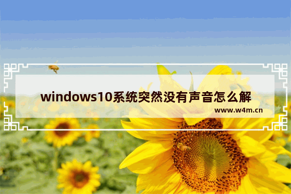 windows10系统突然没有声音怎么解决 windows10突然没声音怎么办