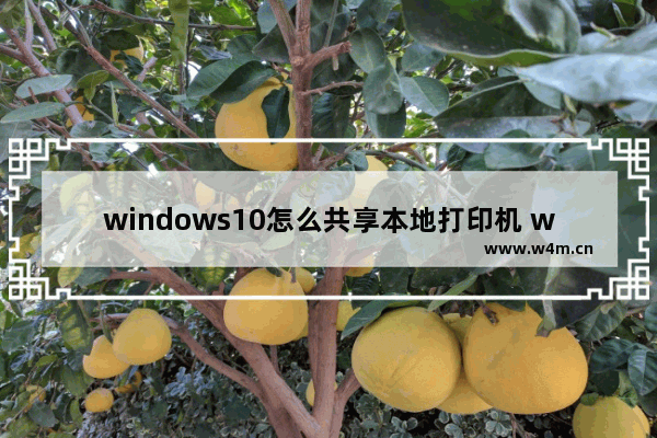 windows10怎么共享本地打印机 windows10本地打印机共享设置