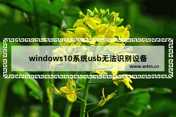 windows10系统usb无法识别设备怎么办 windows10系统无法识别usb设备