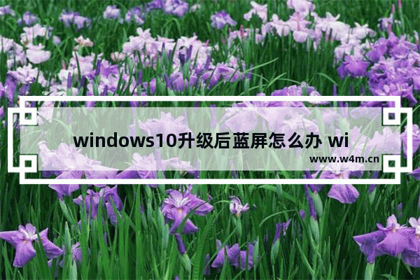 windows10升级后蓝屏怎么办 windows10升级后电脑蓝屏