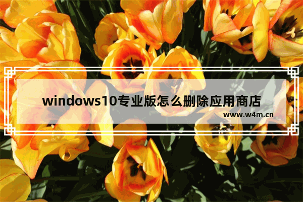 windows10专业版怎么删除应用商店 windows10专业版应用商店删除