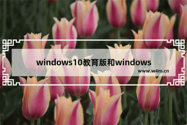 windows10教育版和windows10专业版有什么区别 windows10教育版和专业版区别