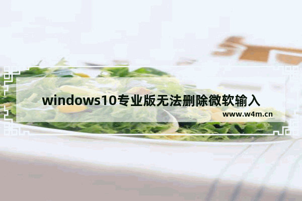 windows10专业版无法删除微软输入法 windows10微软输入法无法删除