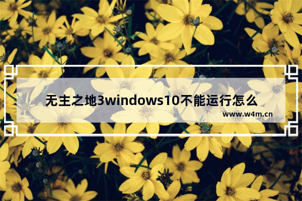 无主之地3windows10不能运行怎么办 无主之地3windows10未响应