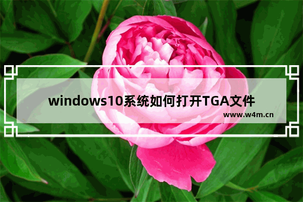 windows10系统如何打开TGA文件 tga文件怎么打开