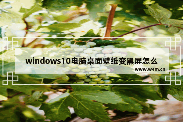 windows10电脑桌面壁纸变黑屏怎么修复 windows10壁纸总是消失黑屏如何解决