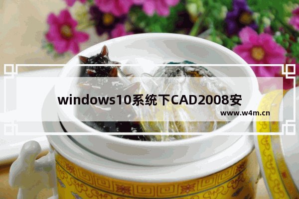 windows10系统下CAD2008安装不了的解决方法 windows10为什么安装不了cad2008