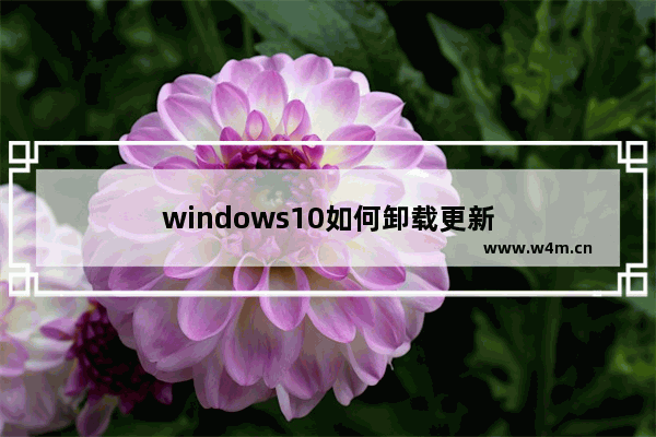 windows10如何卸载更新