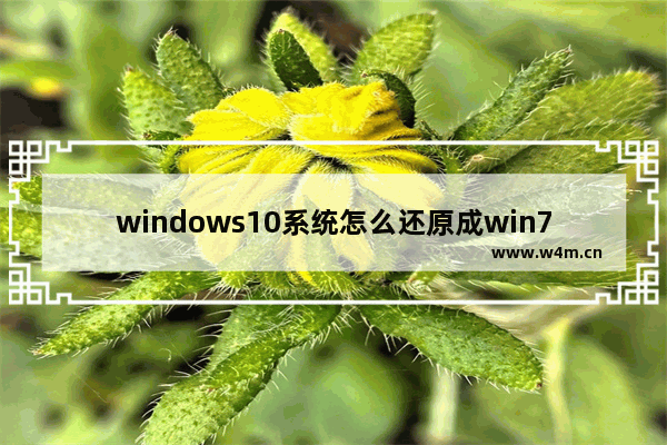 windows10系统怎么还原成win7系统