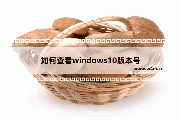 如何查看windows10版本号