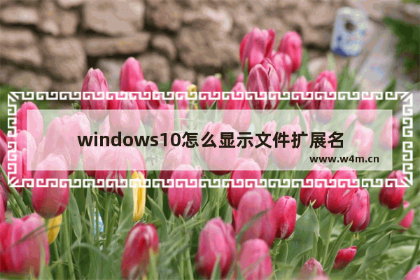 windows10怎么显示文件扩展名