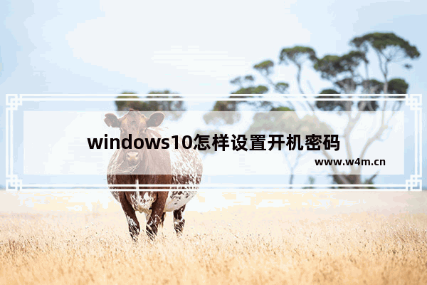 windows10怎样设置开机密码