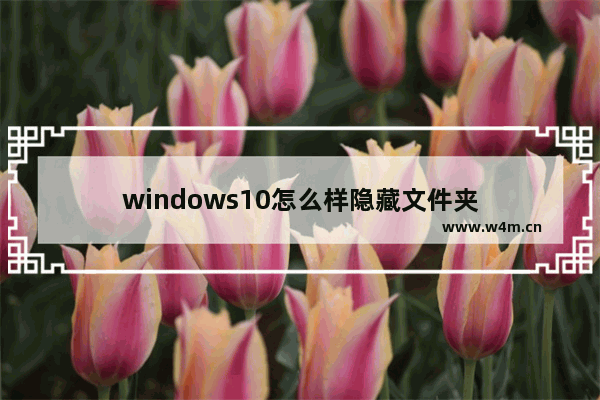 windows10怎么样隐藏文件夹