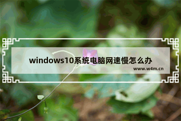 windows10系统电脑网速慢怎么办