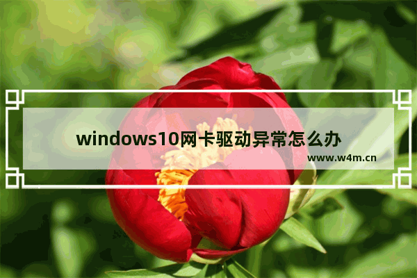 windows10网卡驱动异常怎么办