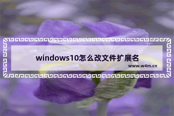 windows10怎么改文件扩展名