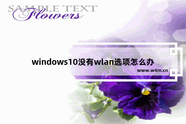 windows10没有wlan选项怎么办