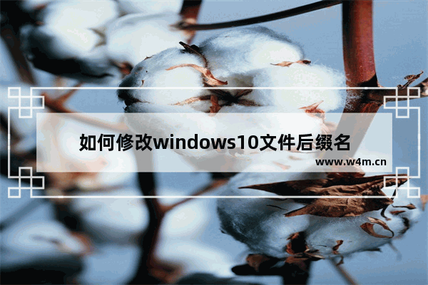 如何修改windows10文件后缀名