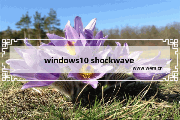 windows10 shockwave flash未响应怎么办