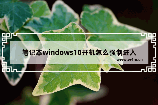 笔记本windows10开机怎么强制进入安全模式