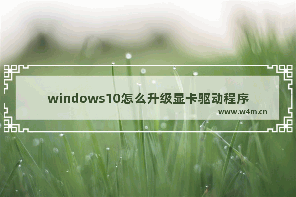 windows10怎么升级显卡驱动程序