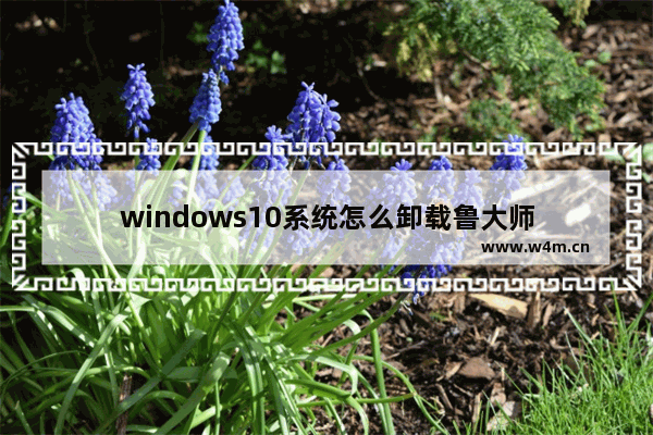 windows10系统怎么卸载鲁大师