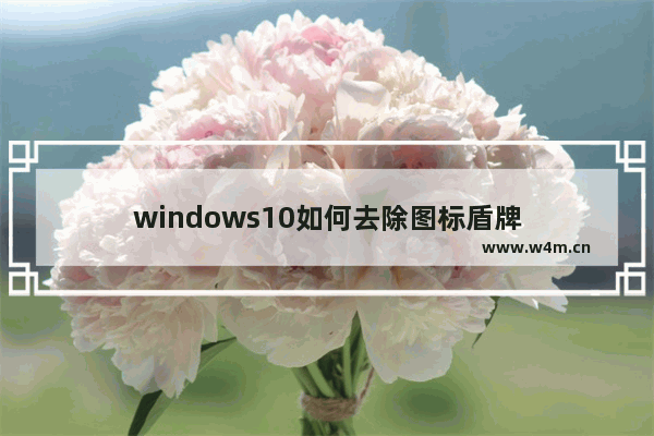 windows10如何去除图标盾牌