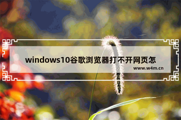 windows10谷歌浏览器打不开网页怎么办