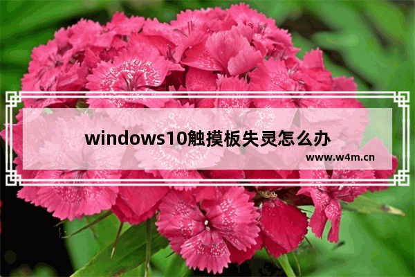 windows10触摸板失灵怎么办