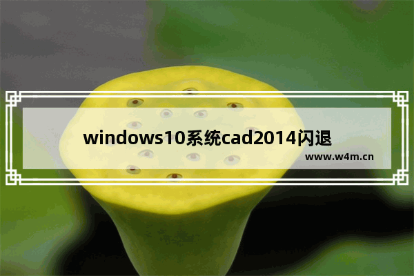 windows10系统cad2014闪退怎么办