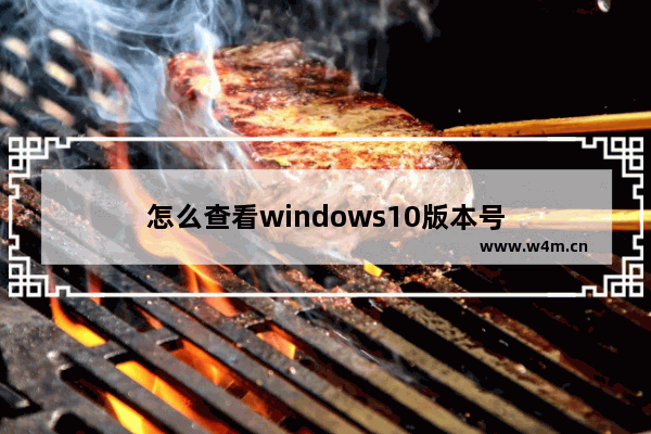 怎么查看windows10版本号