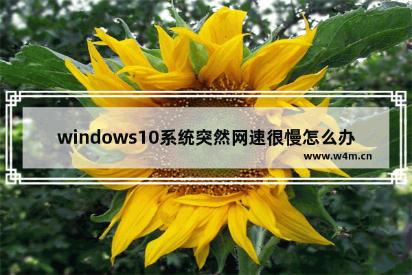 windows10系统突然网速很慢怎么办