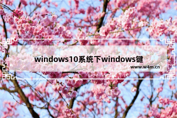 windows10系统下windows键没反应