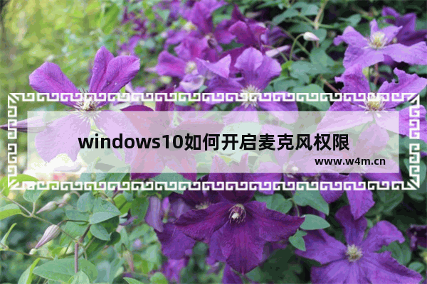 windows10如何开启麦克风权限