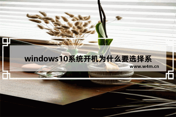 windows10系统开机为什么要选择系统