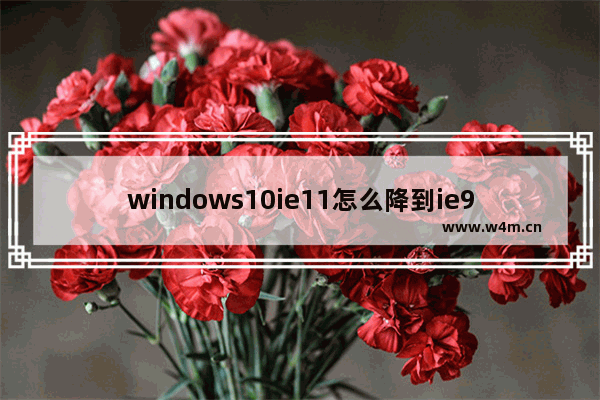 windows10ie11怎么降到ie9