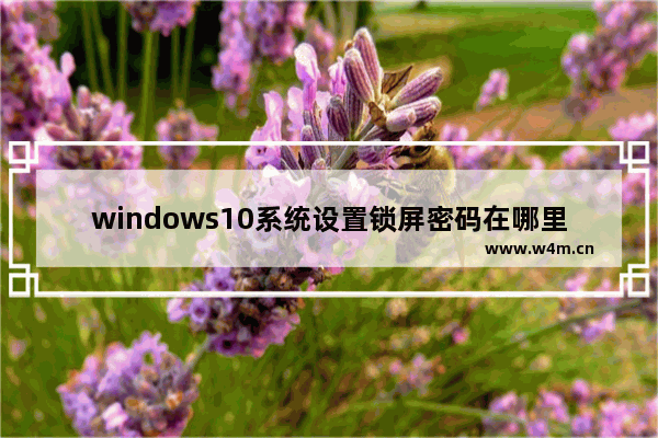 windows10系统设置锁屏密码在哪里