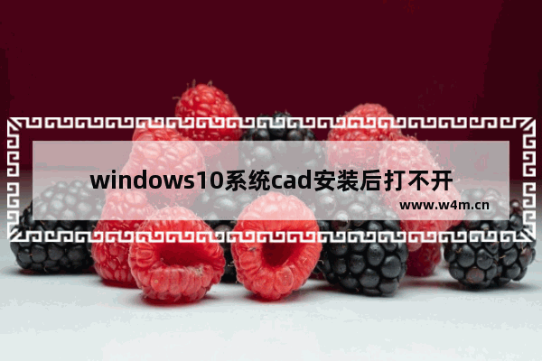 windows10系统cad安装后打不开怎么办