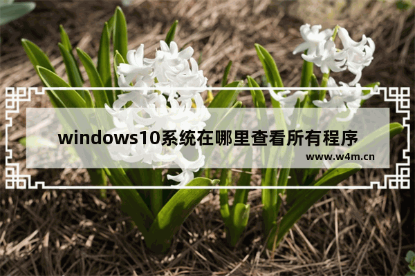 windows10系统在哪里查看所有程序