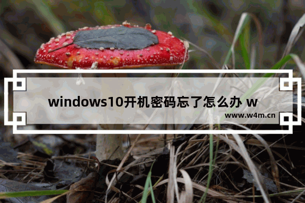 windows10开机密码忘了怎么办 windows10的开机密码忘了怎么办