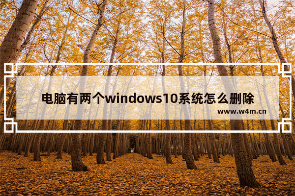 电脑有两个windows10系统怎么删除一个 windows10怎么删除另一个系统