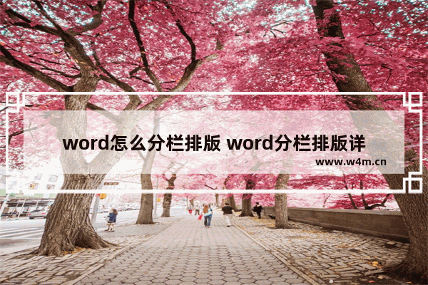 word怎么分栏排版 word分栏排版详细步骤